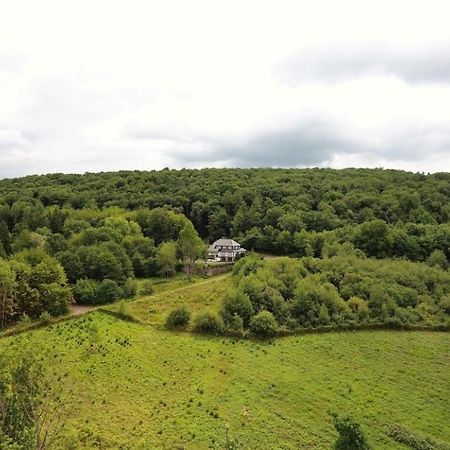 Totale Ruhe Im Wald Apartamento Pünderich Exterior foto